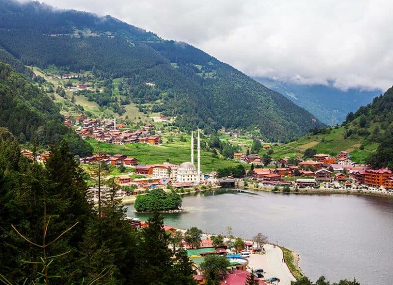 trabzon cummins yedek parça
