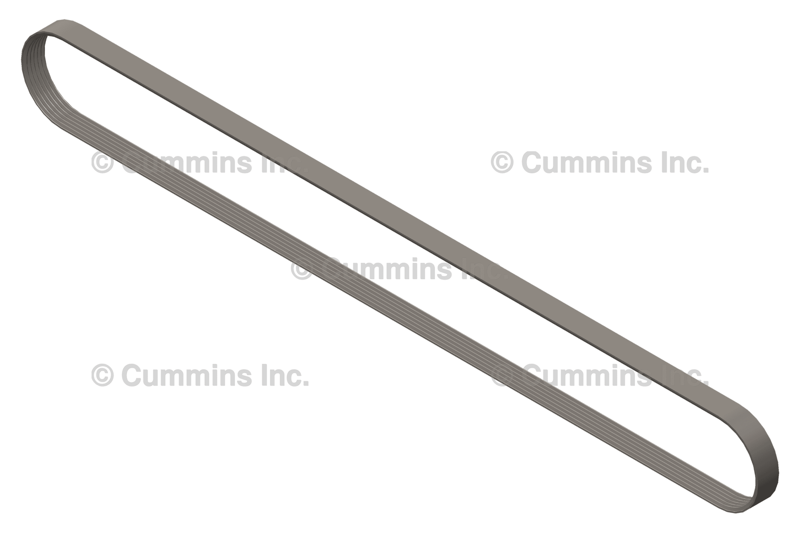 3101314 Belt, V Ribbed