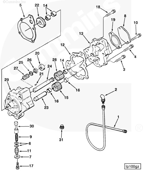 3821578 Lubricating Oil Pump