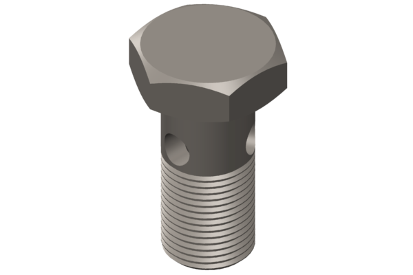 Cummins 3684202 Orijinal Banjo Rekor Cıvatası / İçi Delikli Cıvata (Banjo Connector Screw)